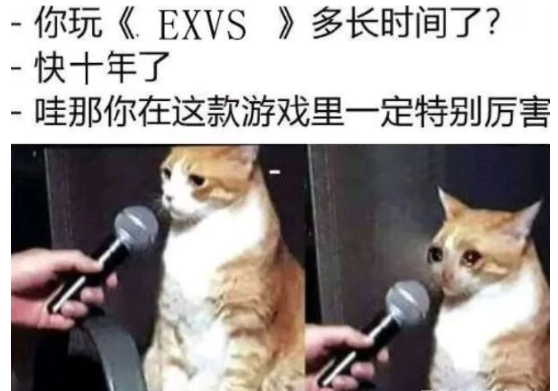 玩了好几年的游戏还是很差劲，这是一种什么感觉？